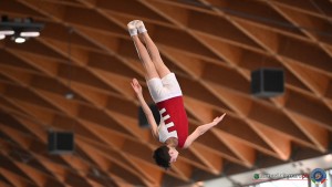 aere trampoline cup tra tum dmt ph by tomasi simone ferraro   fgi 